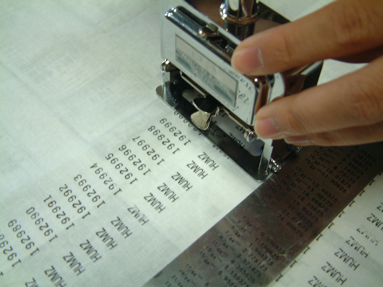 魚類標本 樹脂標本（魚類） - メルカリ